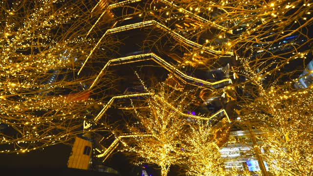 哈德逊庭院装饰圣诞彩灯视频素材