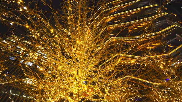 哈德逊庭院装饰圣诞彩灯视频素材