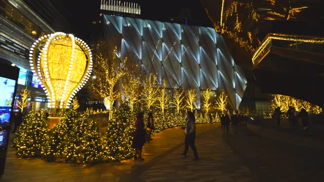 哈德逊庭院装饰圣诞彩灯视频下载
