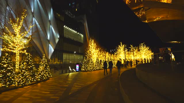 哈德逊庭院装饰圣诞彩灯视频下载