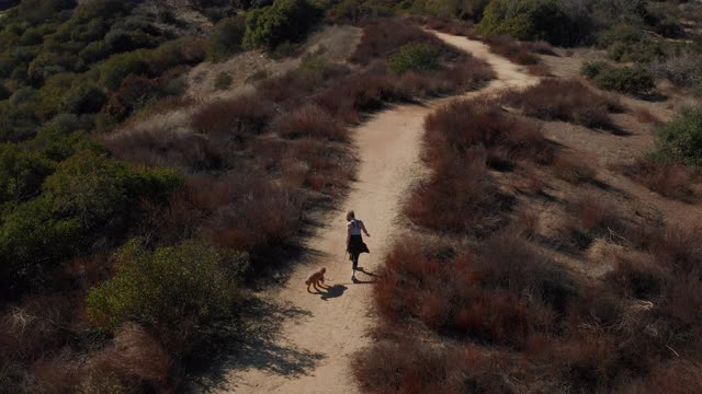 无人机拍摄的女人走她的狗在洛杉矶加拿大的踪迹视频素材