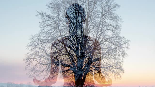 日落时分，一个女人在一棵树上沉思视频素材