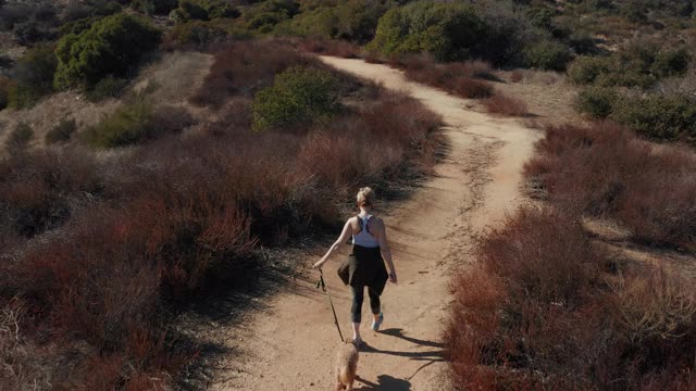 无人机拍摄的女人走她的狗在洛杉矶加拿大的踪迹视频下载
