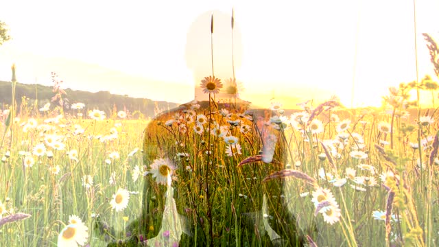 一个女人的剪影在荷花的位置浮动在草地在日落视频素材