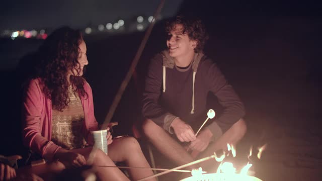 朋友们晚上围着篝火做饭视频下载