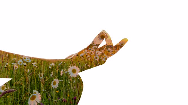 一个人的手在草地野花的背景下沉思的剪影视频素材