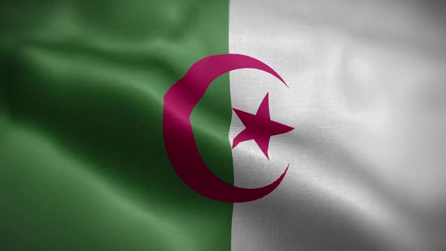 阿尔及利亚旗帜纹理波浪前背景高清视频下载
