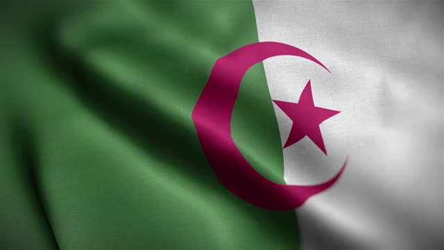 阿尔及利亚旗帜纹理波浪近距离背景高清视频下载