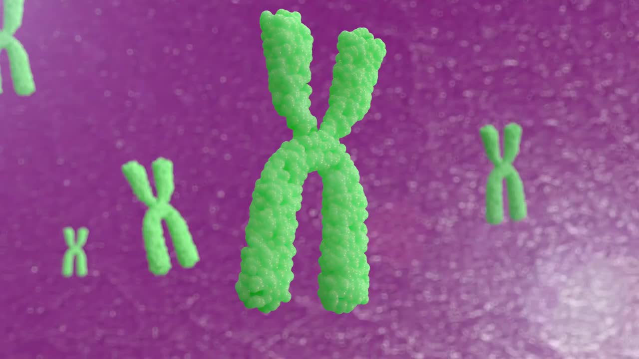 染色体的三维动画。X染色体在细胞中的运动。视频下载