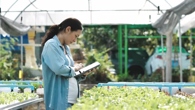 智能农场亚洲农民使用数字平板电脑在绿色农场视频素材