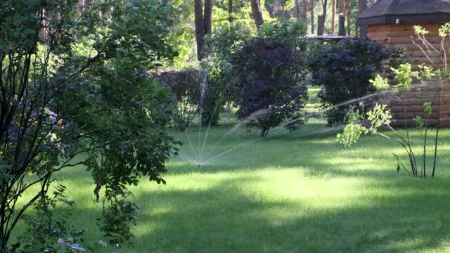 自动灌溉。在一个阳光明媚的夏天，水喷射浇绿色的草坪，灌木和树木在公园，4k视频素材