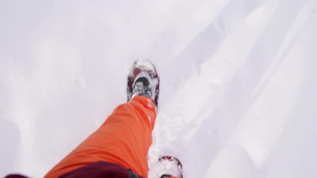雪后森林里的男人在冬天穿雪鞋视频素材