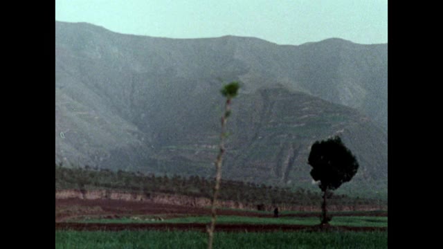 中国农村秦始皇陵的潘;1973视频下载
