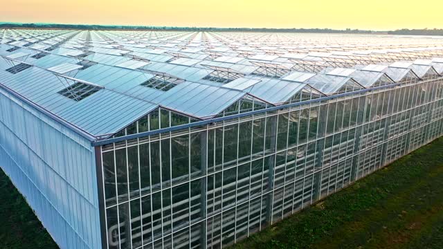 空中飞行在大番茄温室的日落视频下载