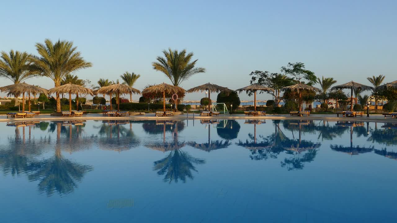 早上4点在度假村有棕榈树的游泳池视频素材