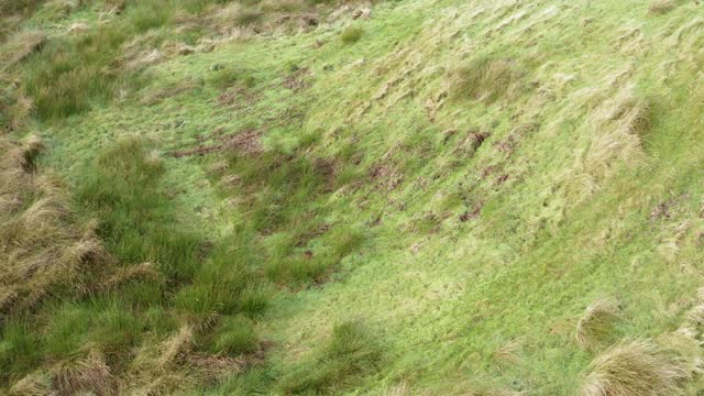高角度的侧视图，一个活跃的老年人走在苏格兰西南部偏远的农村位置视频下载
