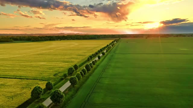 空中乡村公路在美丽的田野中间在日落视频素材