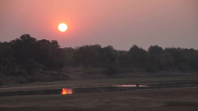 非洲-河边的日落视频下载