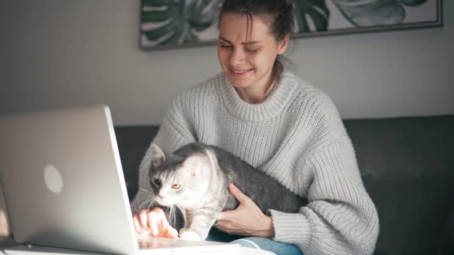 一个年轻女子在家里用笔记本电脑工作，怀里抱着一只灰猫视频素材