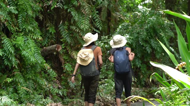 两个亚洲女游客去热带森林探险。视频素材