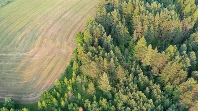 低空无人机拍摄低塔特拉山脉下的草地和森林视频素材