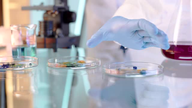 科学家在培养皿中对细菌进行科学实验视频下载