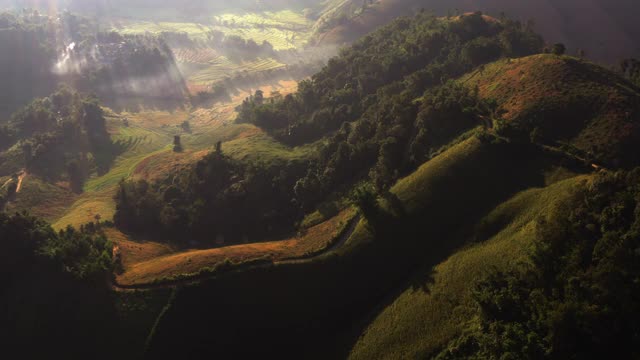山上水稻种植的鸟瞰图视频素材
