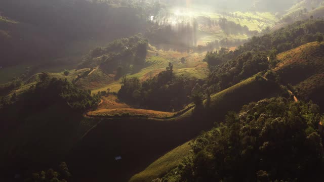 山上水稻种植的鸟瞰图视频素材