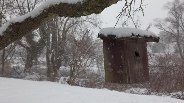 冬天下雪时，摄影机沿着挂在树枝上的木鸟笼移动视频素材