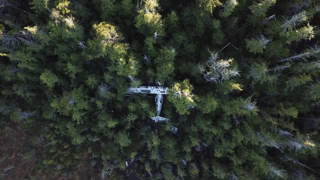 在加拿大不列颠哥伦比亚省森林中飞机残骸上空盘旋视频下载
