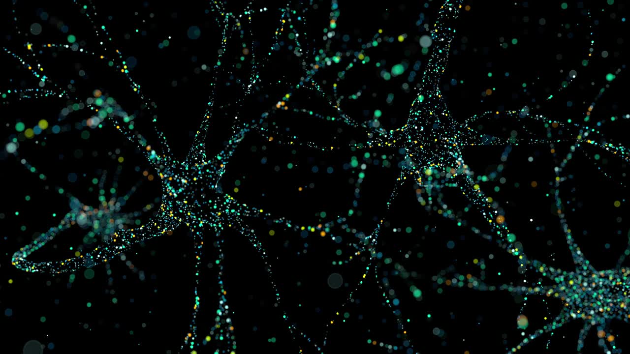 有多个轴突的神经元的核视频下载