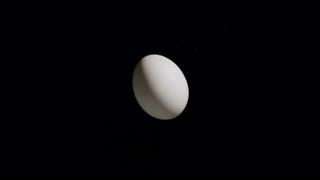 在黑色背景下压碎一个鸡蛋视频素材