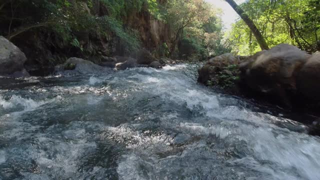 哥斯达黎加湍急的河流视频下载