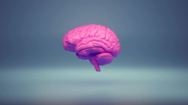液体粉色颜料脑视频素材