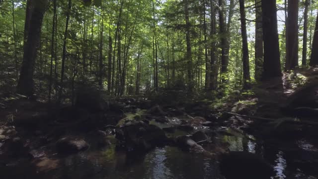无人机飞过长满岩石的茂密森林中央视频下载