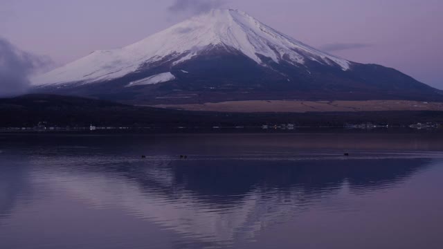 元旦黎明时分，白雪覆盖的富士山映在山中湖中视频素材