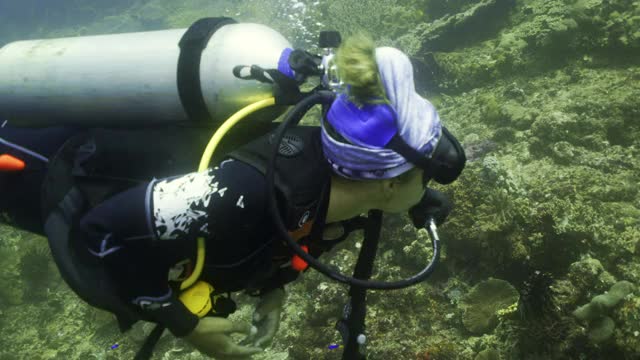 一个年轻的女人带着潜水设备游泳经过一个巨大的绿色珊瑚结构-库塔，印度尼西亚视频下载
