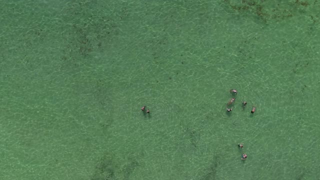 鸟瞰人们享受阳光灿烂的一天在海滩，无人机向后飞行的海岸线-迈阿密，佛罗里达视频下载