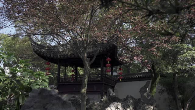 在中国苏州公园的树木和岩石之间的凉亭和灯笼的平移拍摄视频素材