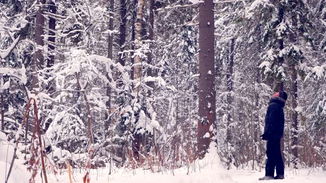 木材生产。投资造林。森林采购员视察一片森林。下雪的冬天视频下载