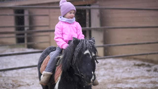 孩子骑着小马。女孩骑手棕色的马。农场里的孩子和宠物视频下载