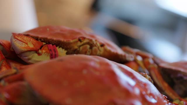 特写架焦点绑红蟹与冰在餐厅-旧金山，加利福尼亚视频下载
