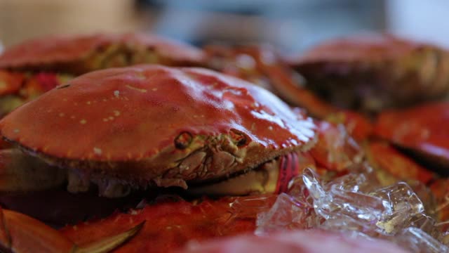 特写架焦点绑螃蟹与冰在餐厅-旧金山，加利福尼亚视频下载