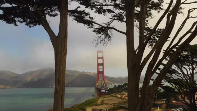 航拍的金门大桥在海对山脉，无人机飞行通过树木向前著名的地标-旧金山，加利福尼亚视频下载