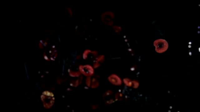 俯视图的深红色樱桃一半弹起与果汁溅起视频下载