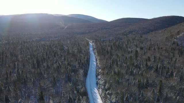 魁北克森林中央的一条积雪的路视频素材