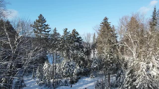 加拿大北部结冰的湖视频素材