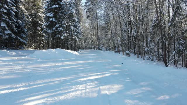 加拿大的冬季仙境视频素材
