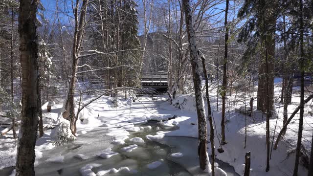 冬天的小溪视频素材