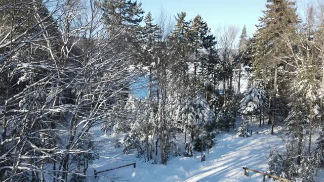加拿大北部白雪覆盖的湖视频素材